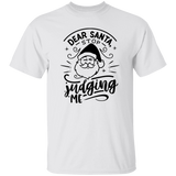 Dear Santa Stop Judging Me G500 5.3 oz. T-Shirt Dear Santa Stop Judging Me G500 5.3 oz. T-Shirt