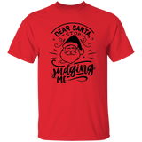 Dear Santa Stop Judging Me G500 5.3 oz. T-Shirt Dear Santa Stop Judging Me G500 5.3 oz. T-Shirt