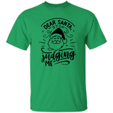 Dear Santa Stop Judging Me G500 5.3 oz. T-Shirt Dear Santa Stop Judging Me G500 5.3 oz. T-Shirt