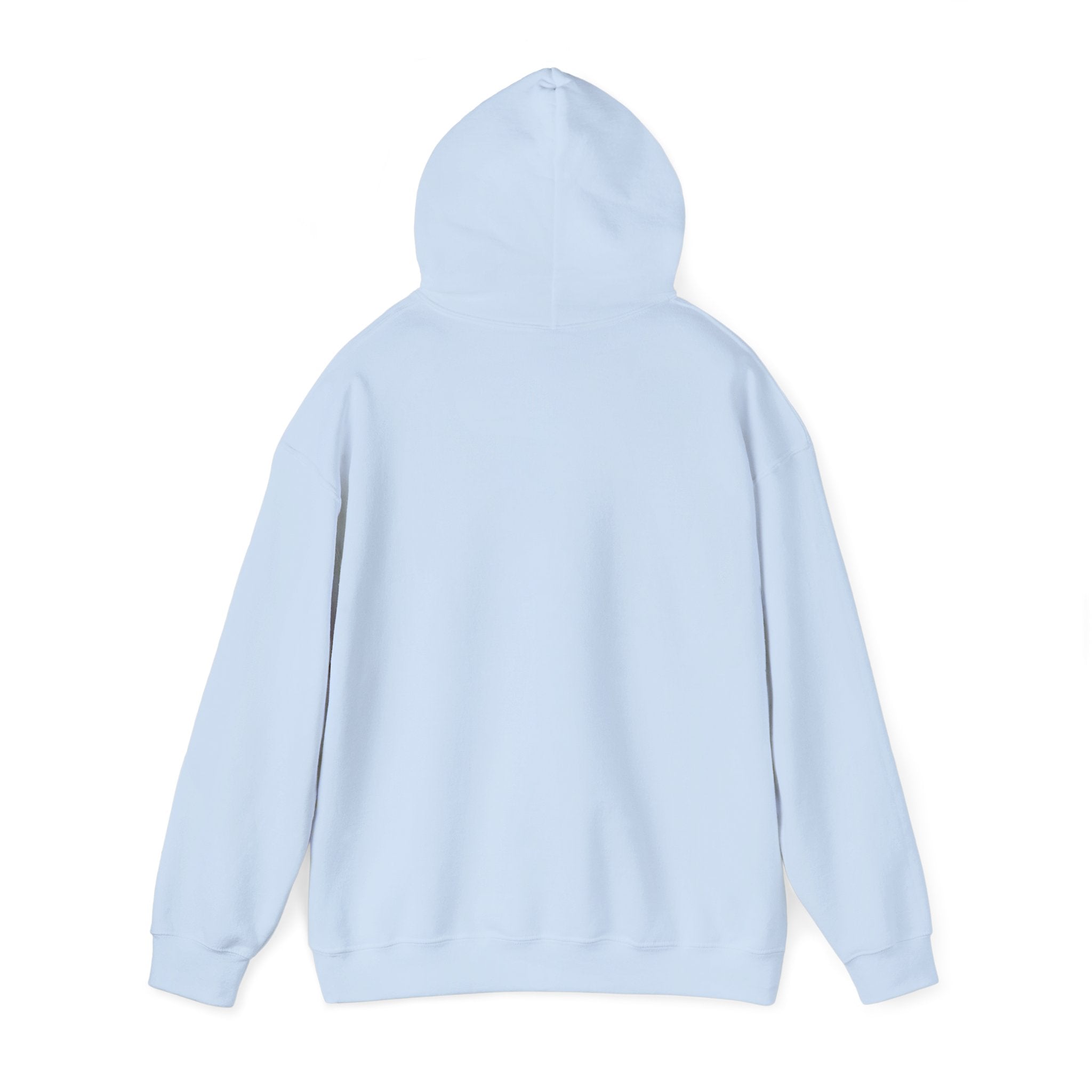 Hoodie - Unisex - Big Lake Glass