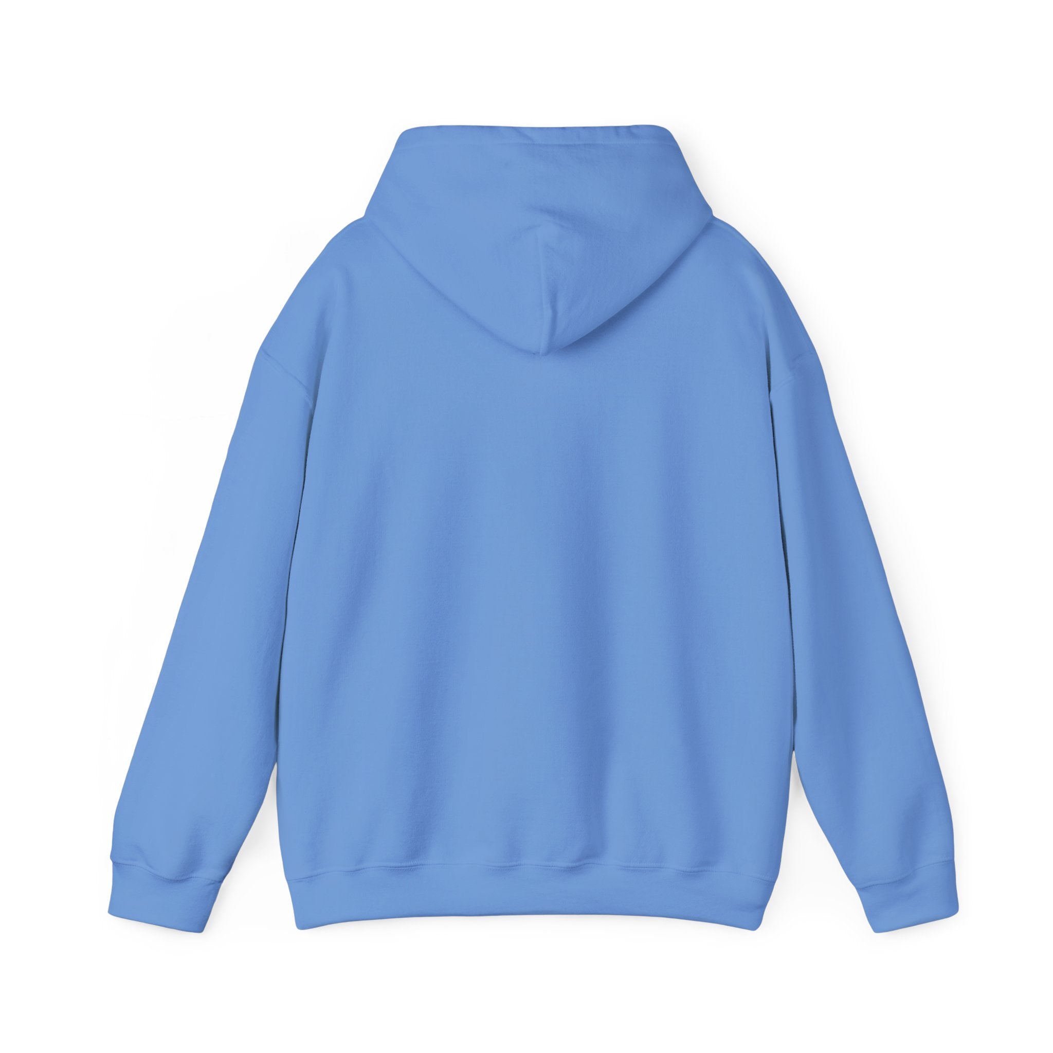 Hoodie - Unisex - Big Lake Glass