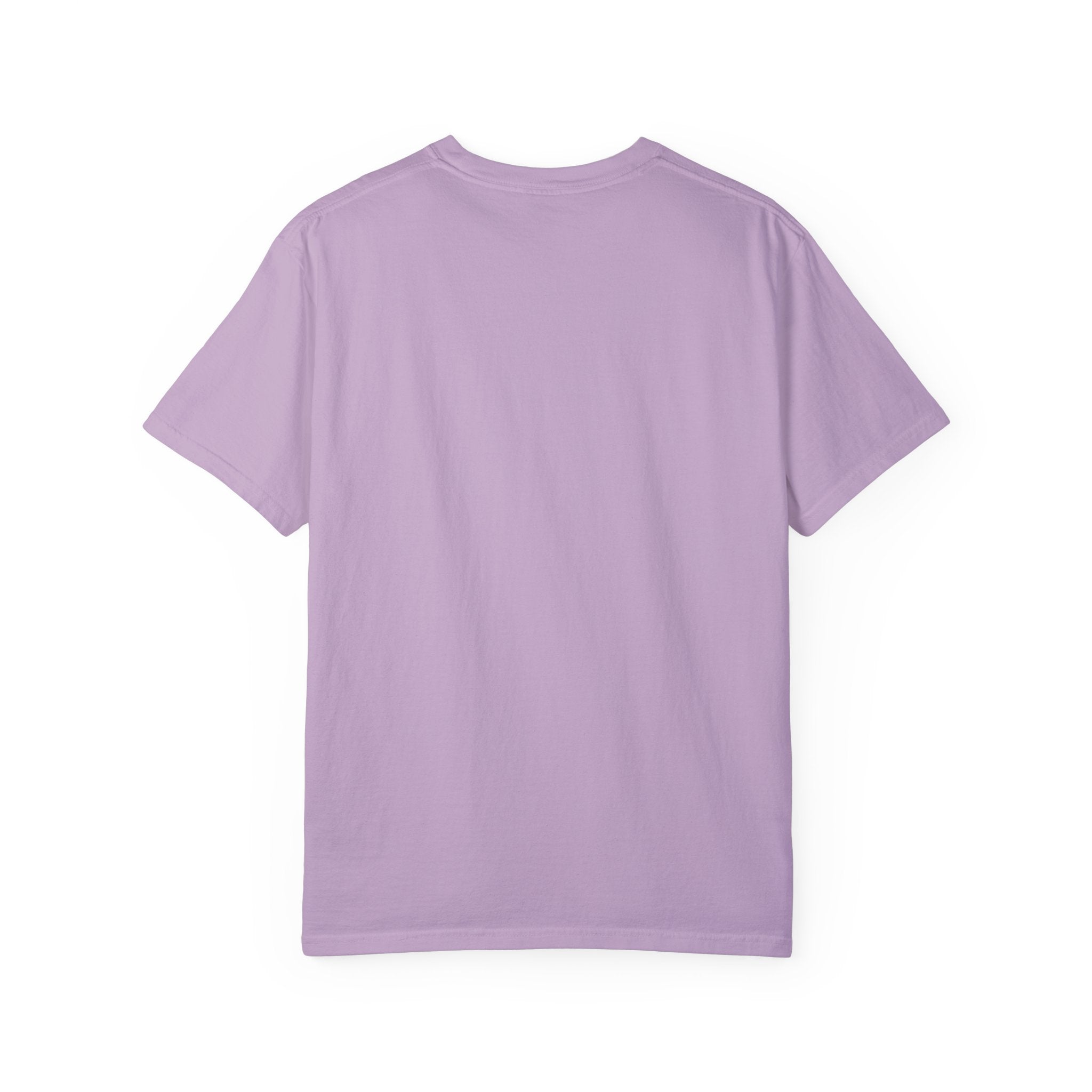 The Mood 2 Unisex Comfort Colors T-shirt