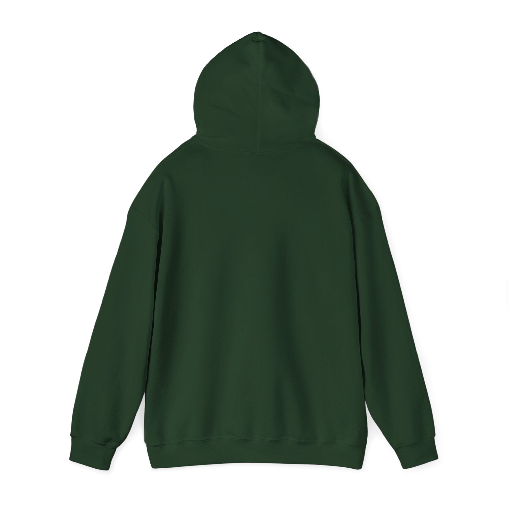 Hoodie - Unisex - Big Lake Glass