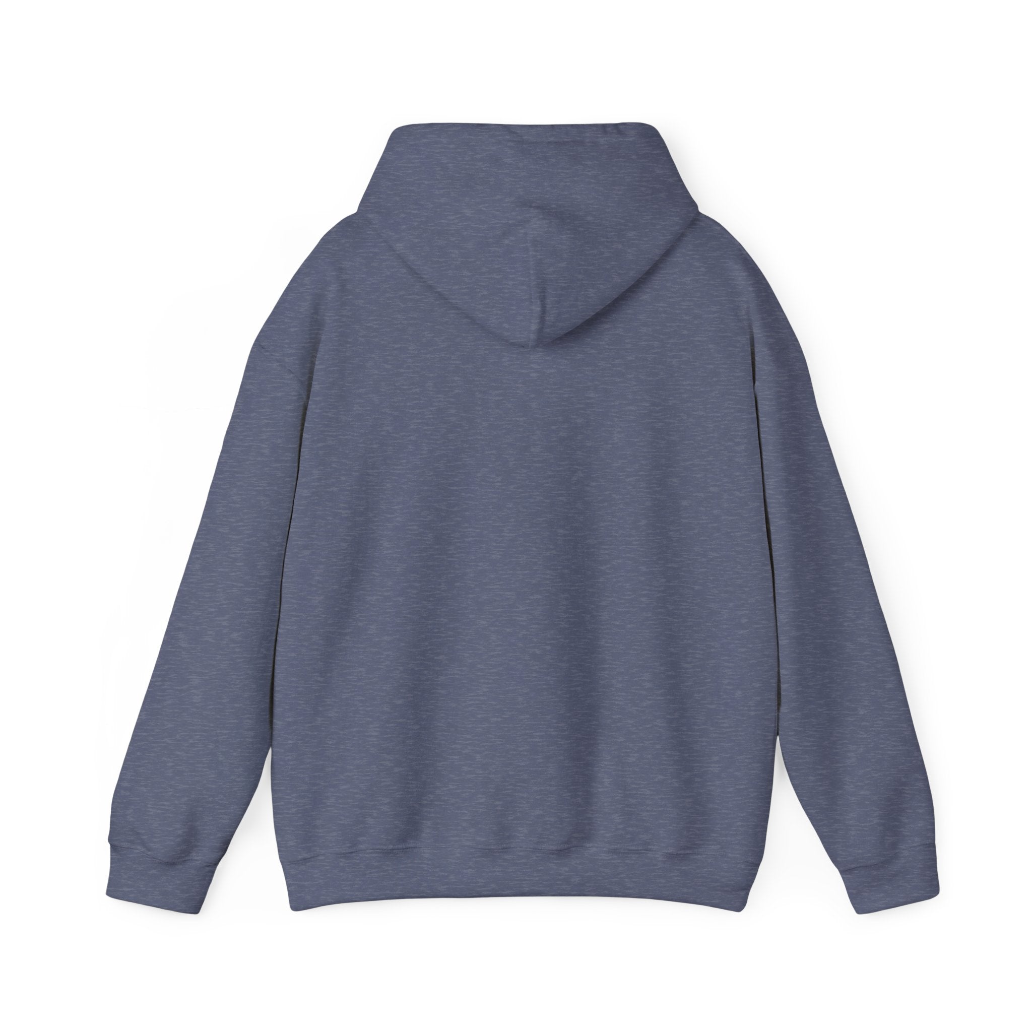 Hoodie - Unisex - Big Lake Glass