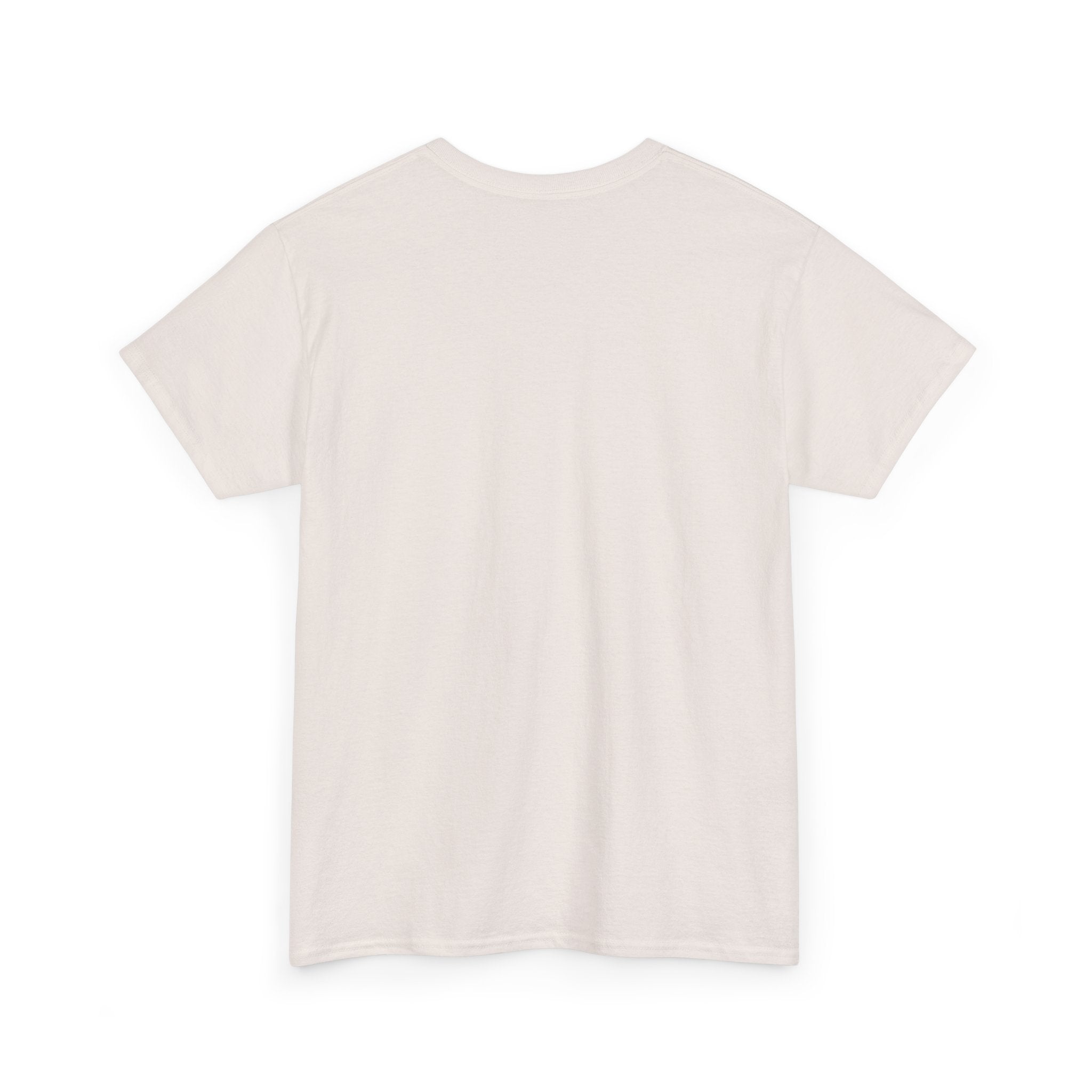 Basic T-Shirt - Unisex - Big Lake Glass
