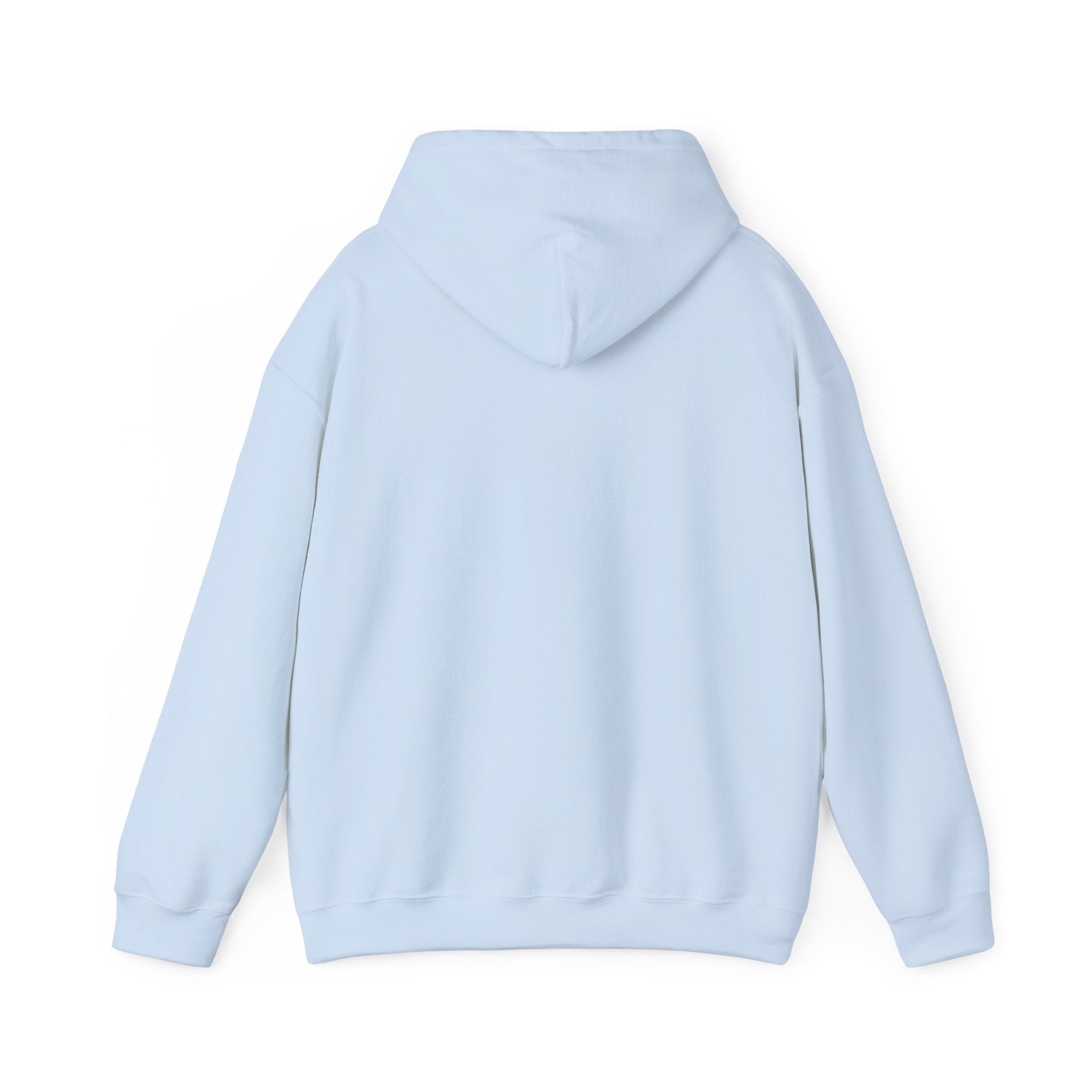 Hoodie - Unisex - Big Lake Glass