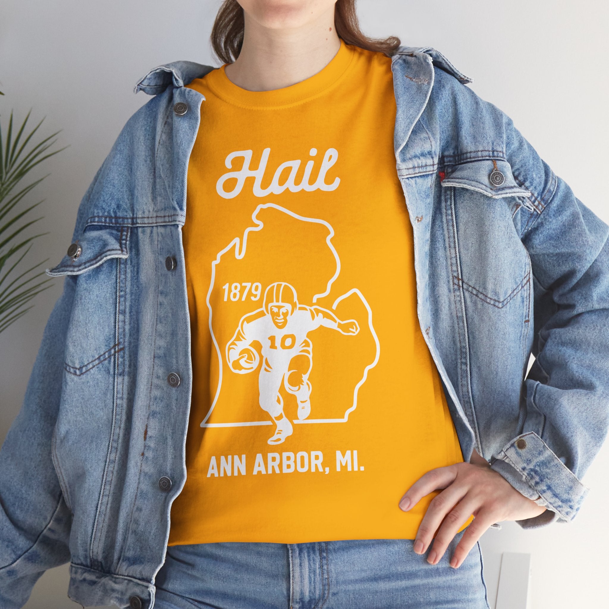 Hail MI Basic T-Shirt - Unisex