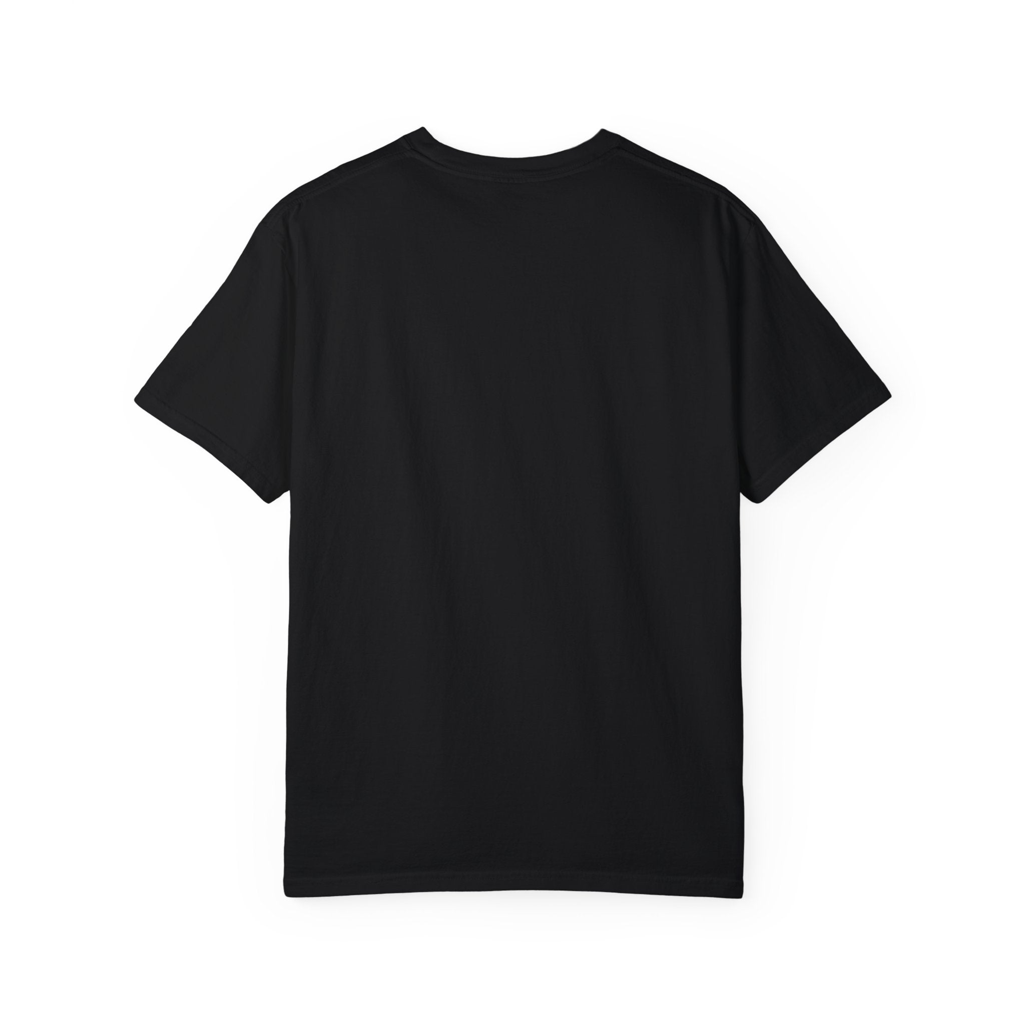 The Mood 2 Unisex Comfort Colors T-shirt