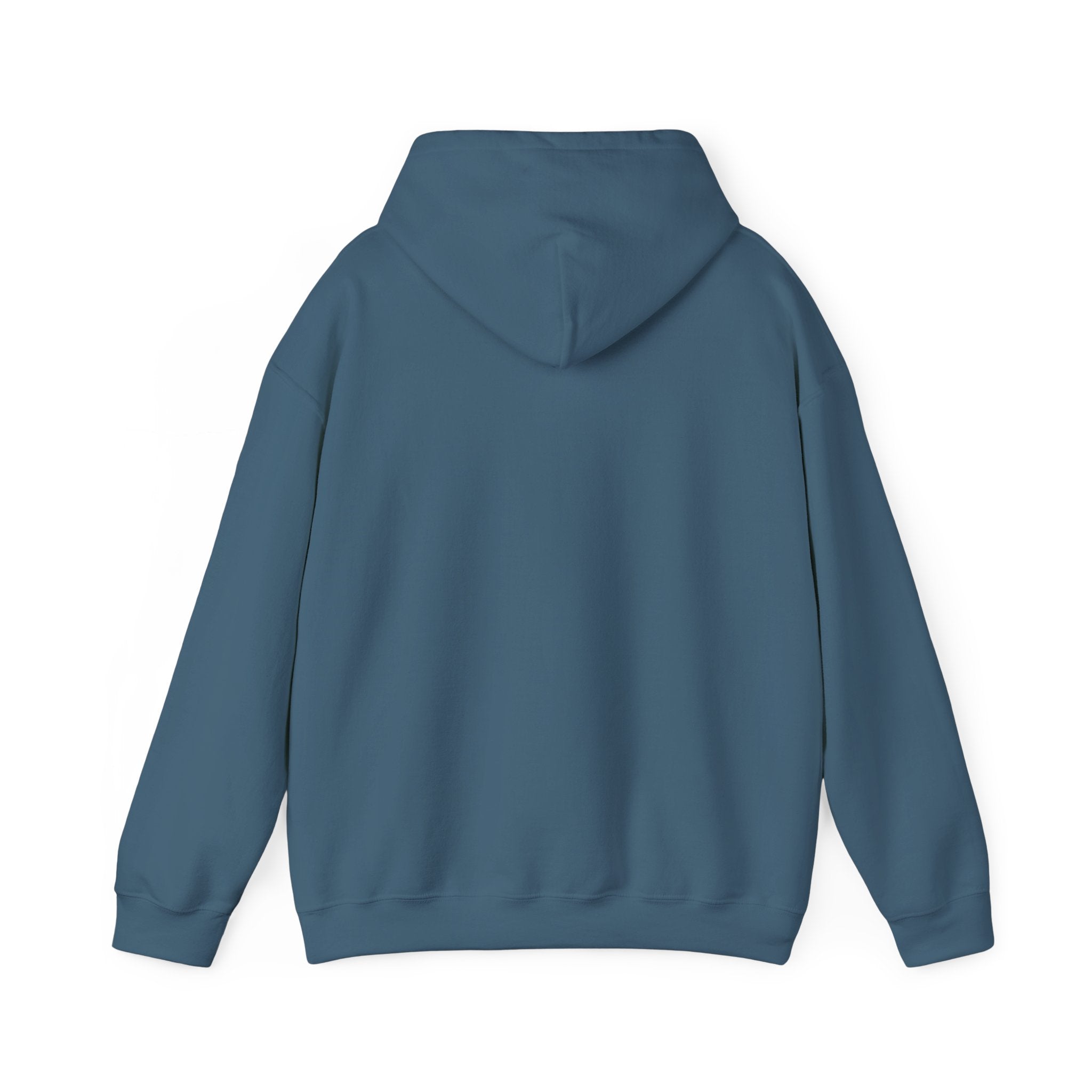 Hoodie - Unisex - Big Lake Glass