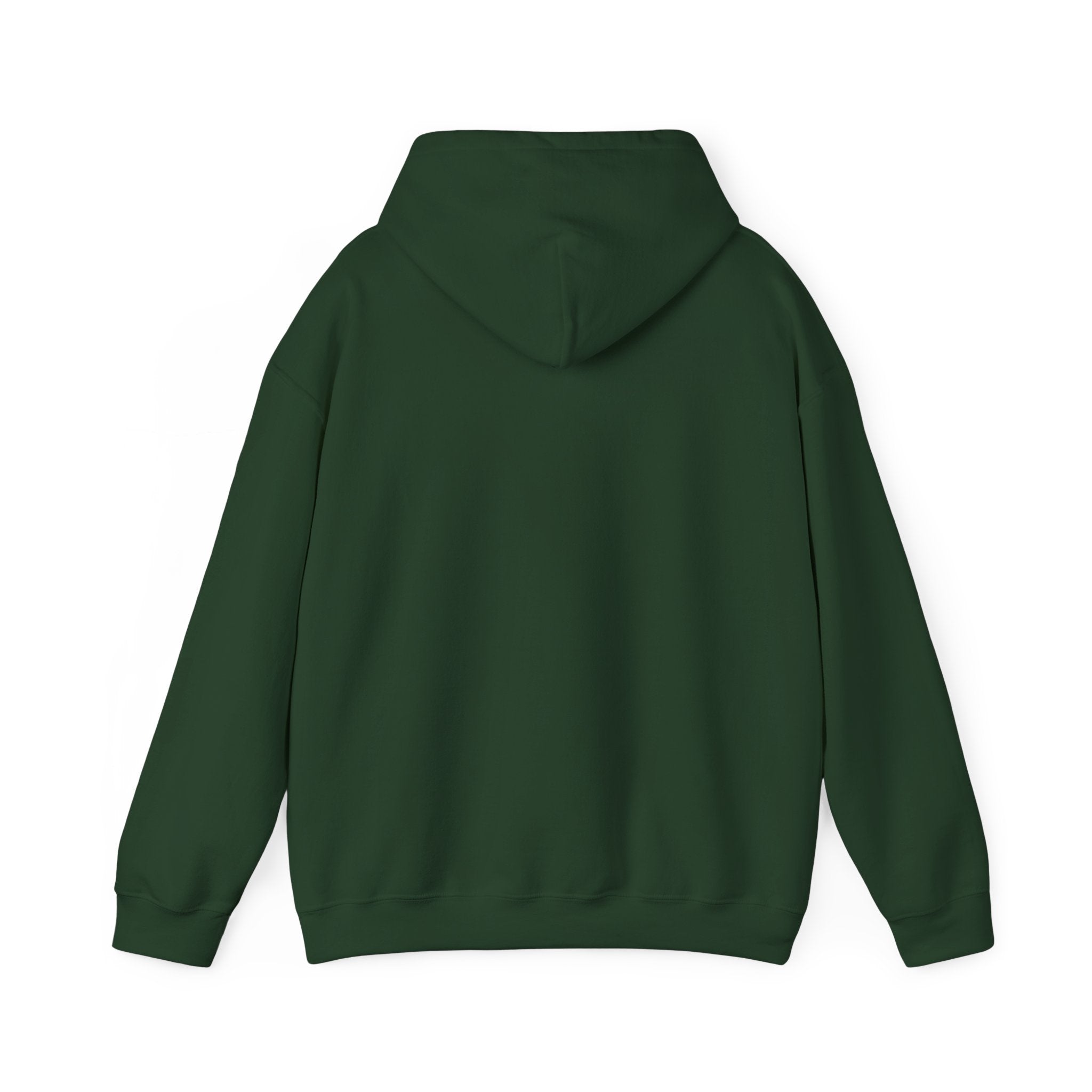 Hoodie - Unisex - Big Lake Glass