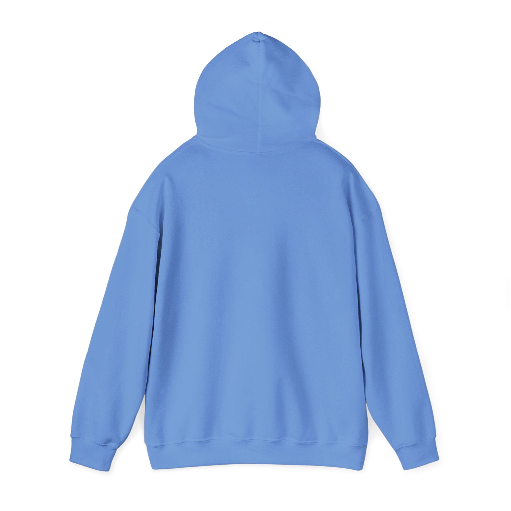 Hoodie - Unisex - Big Lake Glass