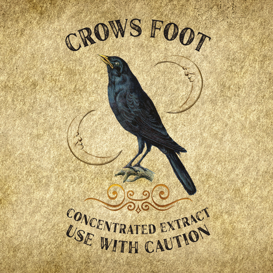 Crows Foot Scented Candle, 13.75oz